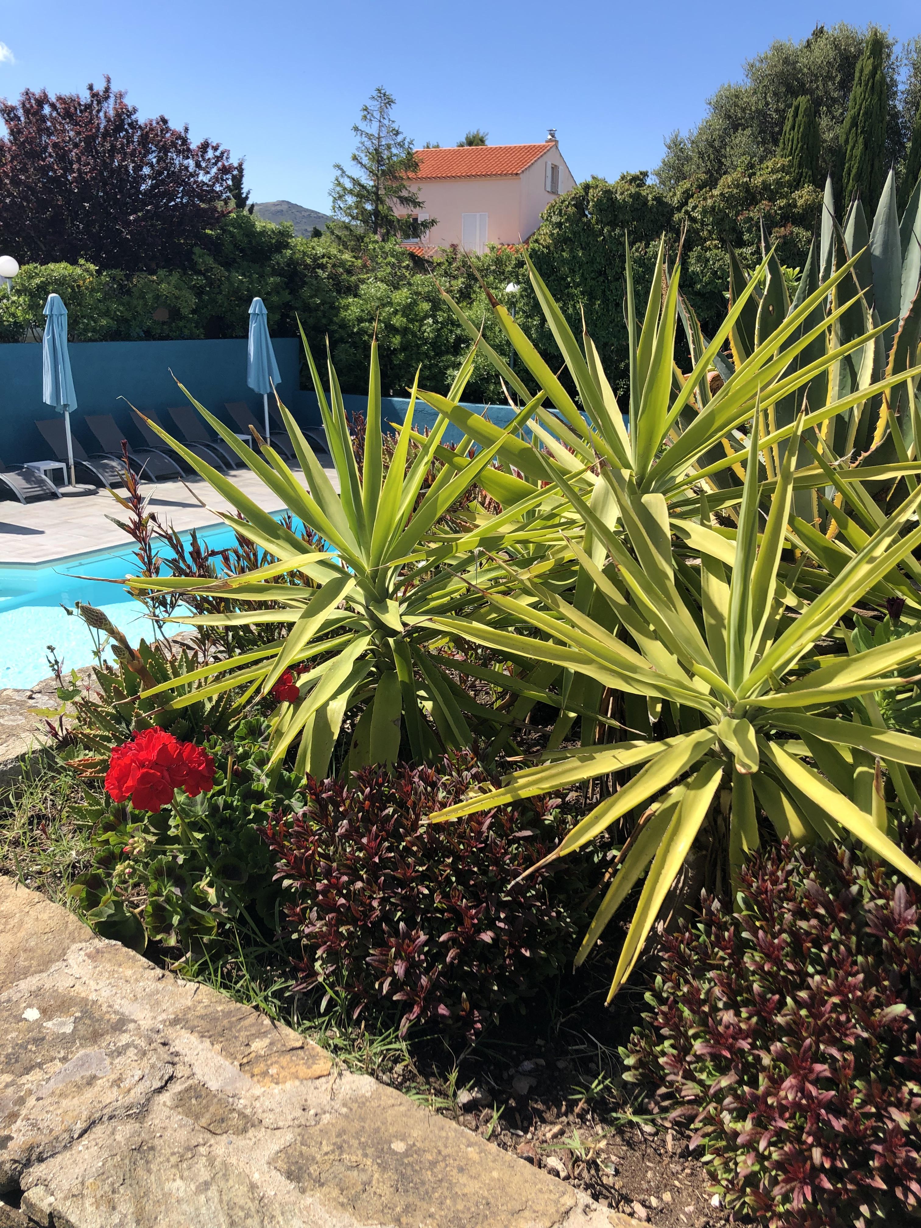 Hotel U Ricordu & Spa Macinaggio  Eksteriør bilde